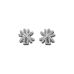 Σκουλαρίκια